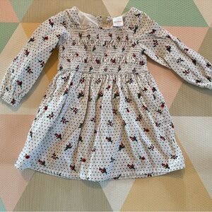 Hanna Andersson Polka Dot Floral Dress Size 4